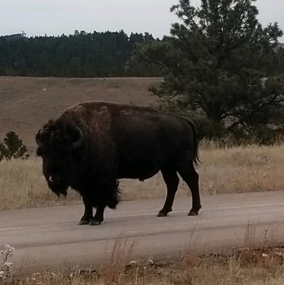 Meet your Posher, Danielle - Picture 2 of 4